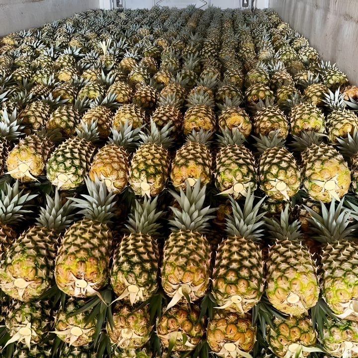 Productos de calidad superior para satisfacer las expectativas más exigentes